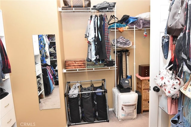 walk in closet with carpet