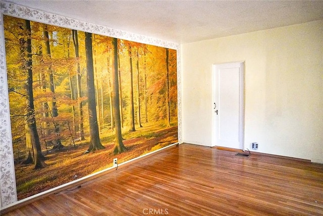 empty room featuring wood-type flooring