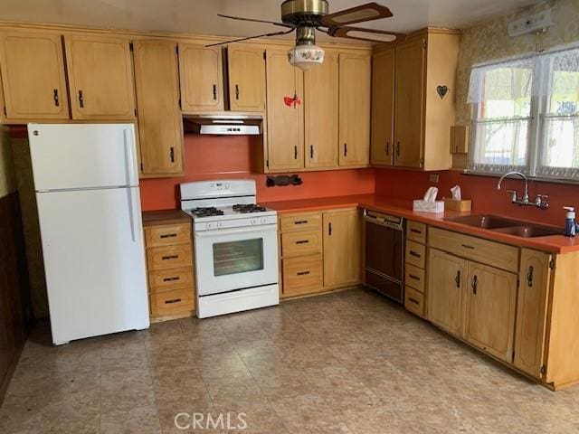 kitchen featuring ceiling fan, white appliances, and sink