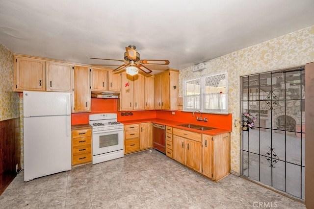 kitchen with wallpapered walls, under cabinet range hood, white appliances, a ceiling fan, and a sink