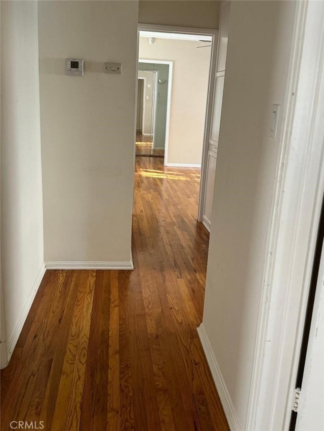 corridor featuring hardwood / wood-style floors