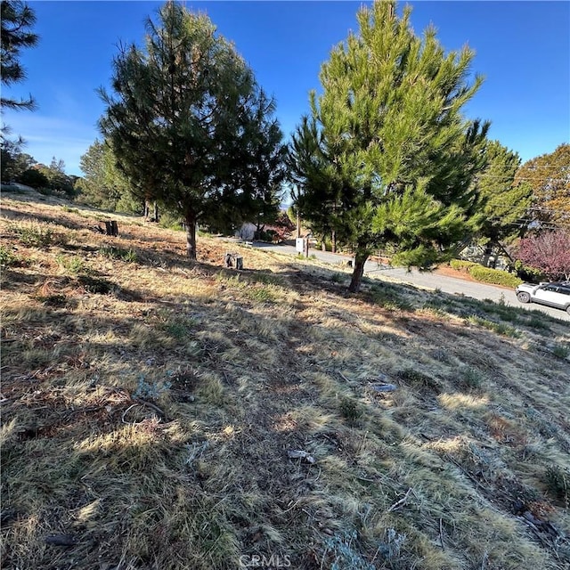 7826 Evergreen Dr, Kelseyville CA, 95451 land for sale