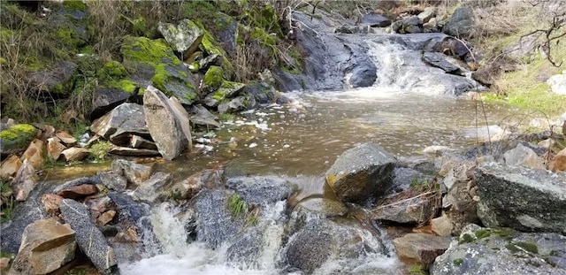 view of local wilderness