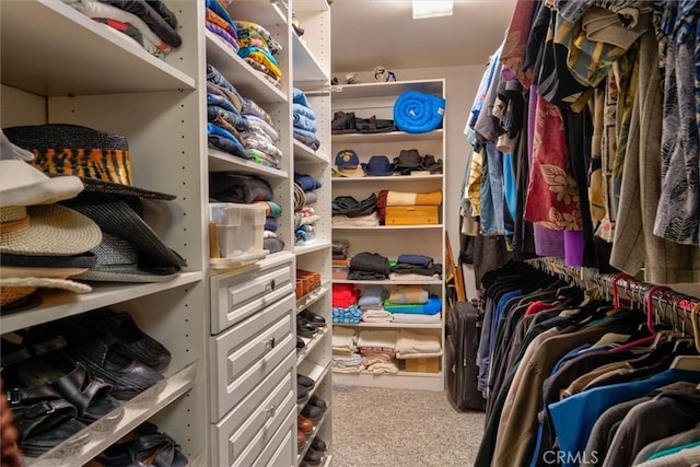 spacious closet featuring carpet floors