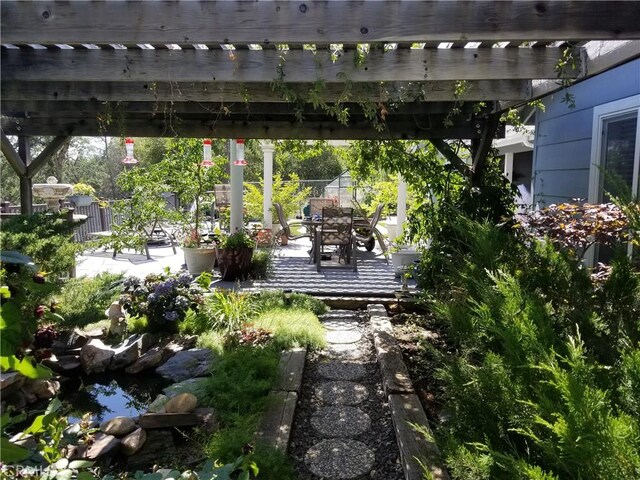 view of yard with a pergola and a patio