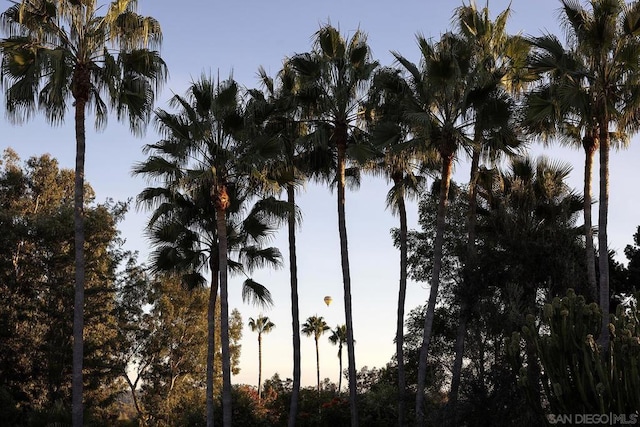 view of nature at dusk