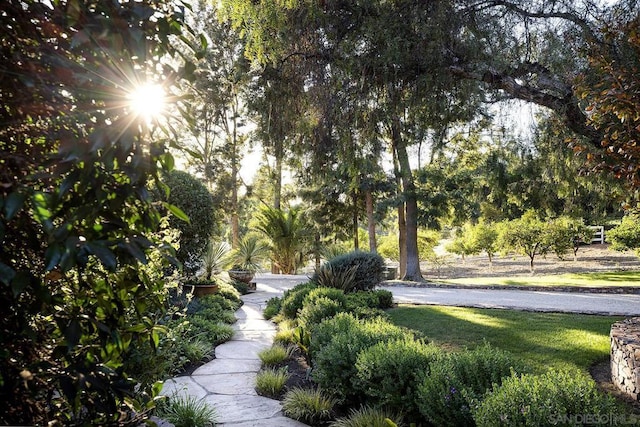 view of property's community with a yard