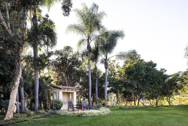 view of yard featuring a patio