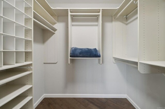 walk in closet featuring wood-type flooring