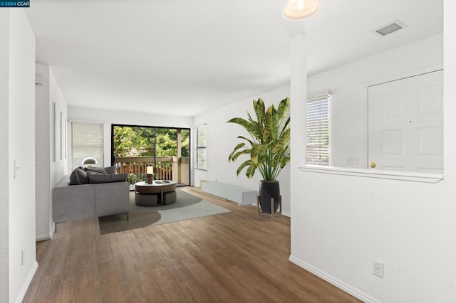 living room featuring hardwood / wood-style flooring and plenty of natural light