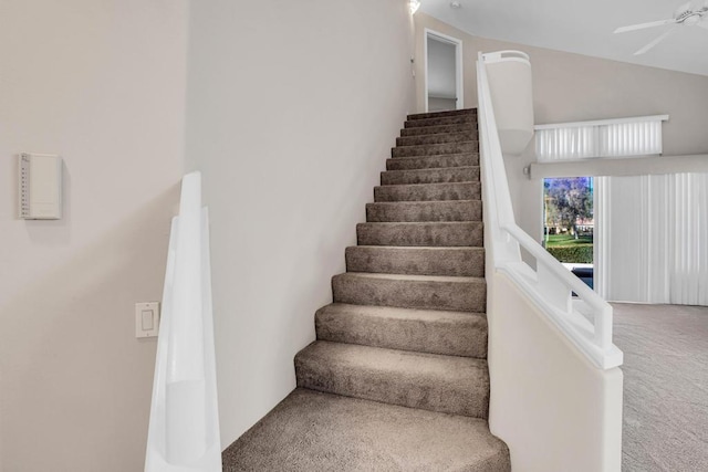 stairs featuring carpet flooring, ceiling fan, and lofted ceiling