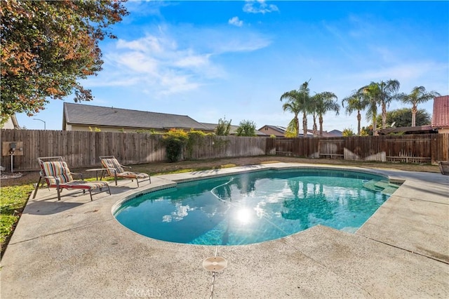 view of pool featuring a patio