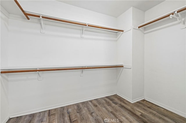 spacious closet with dark wood-type flooring