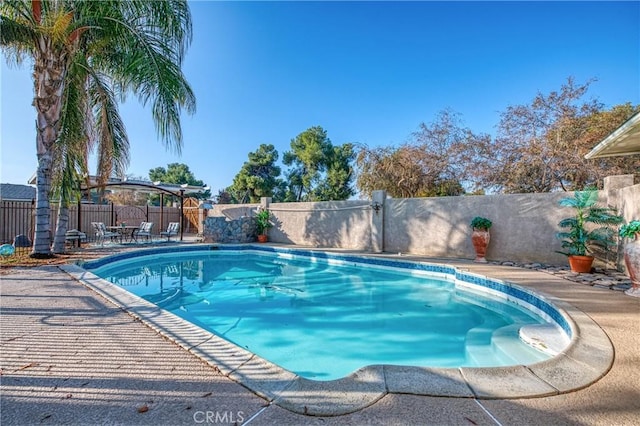 view of pool with a patio area