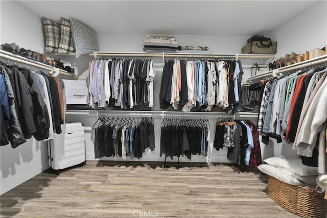 walk in closet featuring light hardwood / wood-style flooring