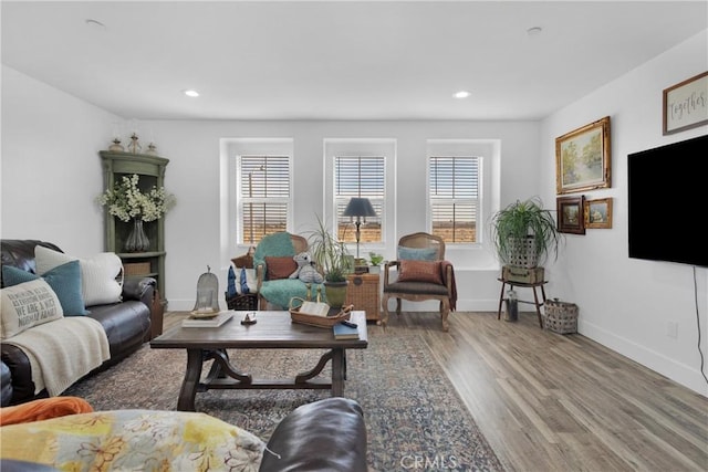 living room featuring hardwood / wood-style flooring