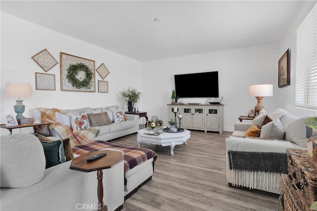 living room featuring hardwood / wood-style floors