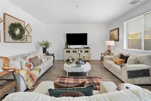 living room featuring hardwood / wood-style flooring