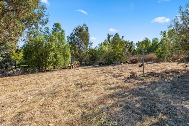 view of yard with a rural view