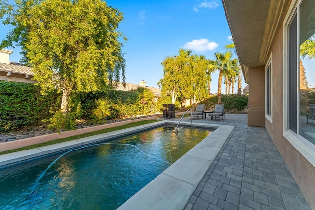 view of swimming pool with a patio