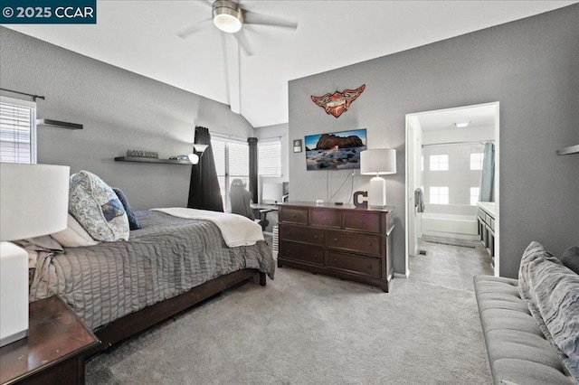 carpeted bedroom with ceiling fan, connected bathroom, lofted ceiling, and multiple windows