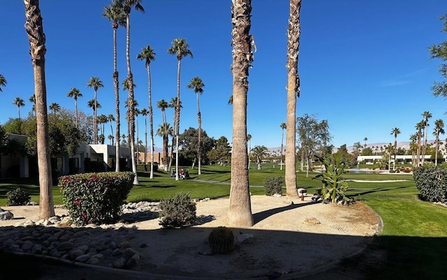 view of home's community with a lawn