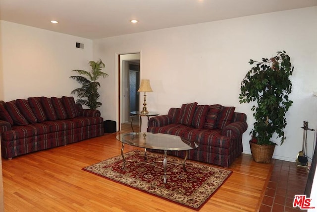 living room with wood-type flooring