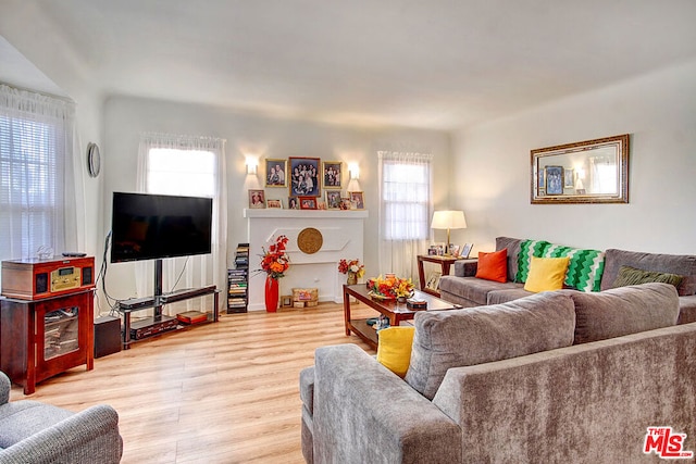 living room with light hardwood / wood-style floors