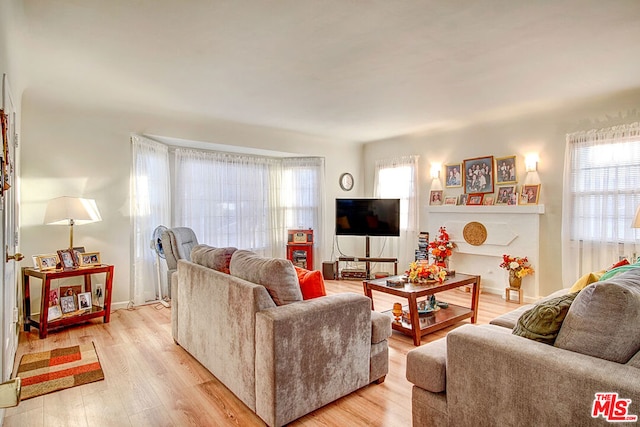 living room with light wood-type flooring and a wealth of natural light