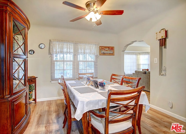 dining area featuring a wealth of natural light, light hardwood / wood-style flooring, and ceiling fan