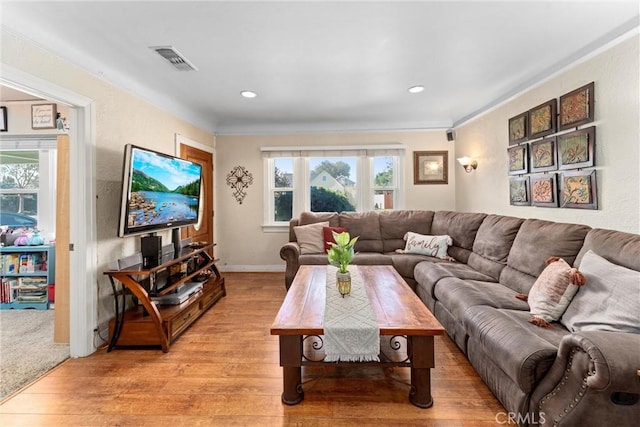 living room with a healthy amount of sunlight and light hardwood / wood-style floors