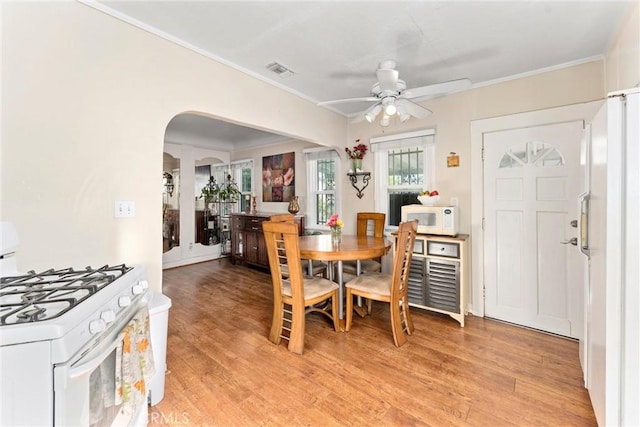 dining room featuring ceiling fan, ornamental molding, and light wood-type flooring