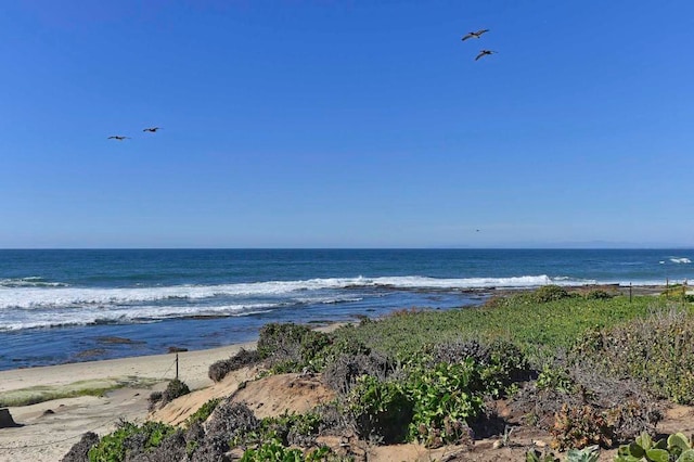 water view with a view of the beach