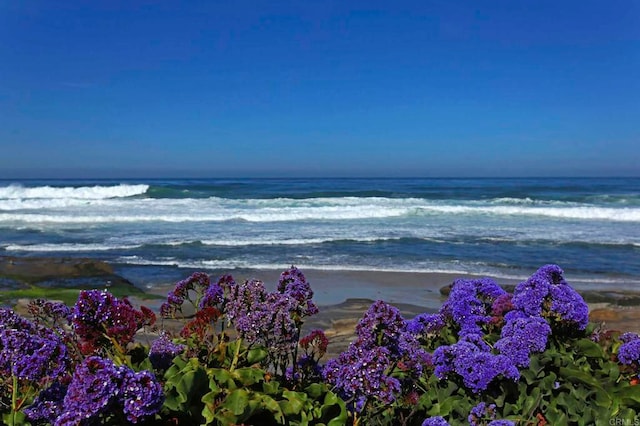 view of water feature with a beach view