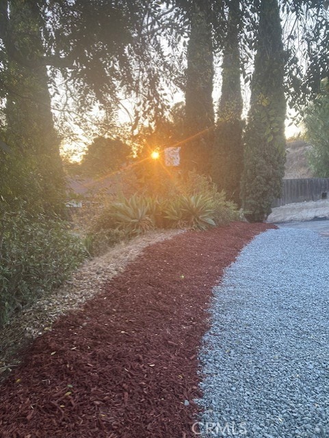 view of yard at dusk