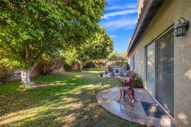 view of yard featuring a patio area