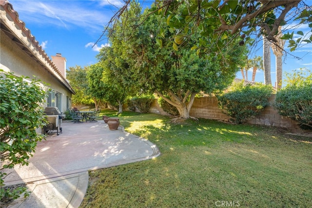 view of yard with a patio