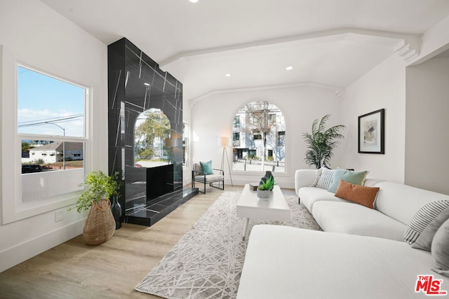 living room with lofted ceiling, a fireplace, and light hardwood / wood-style flooring