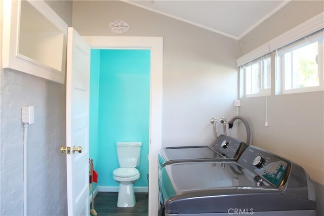 laundry area featuring wood-type flooring and washer and clothes dryer