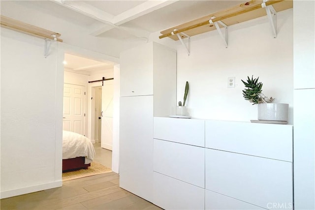 walk in closet featuring a barn door and hardwood / wood-style flooring