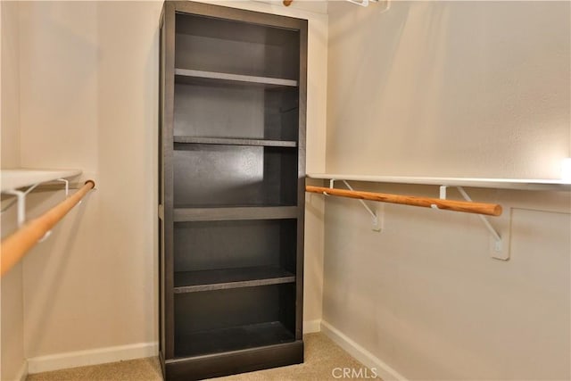 walk in closet with carpet floors