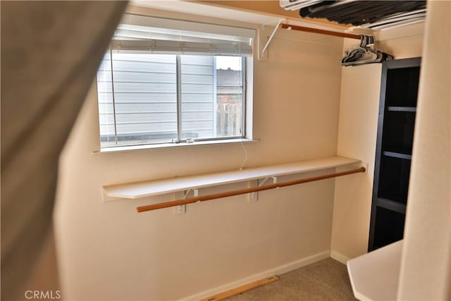 walk in closet featuring carpet floors