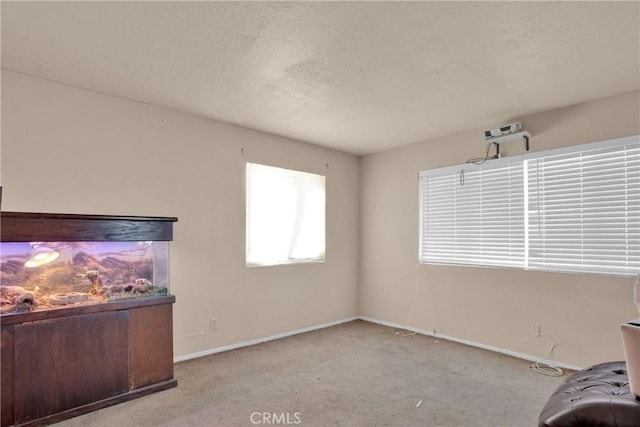 living area featuring baseboards, a textured ceiling, and light colored carpet