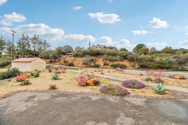 20530 Bexley Rd, Jamul, CA 91935 - photo 21