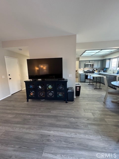 living room featuring wood-type flooring, sink, and a skylight