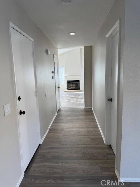 hall featuring dark wood-type flooring