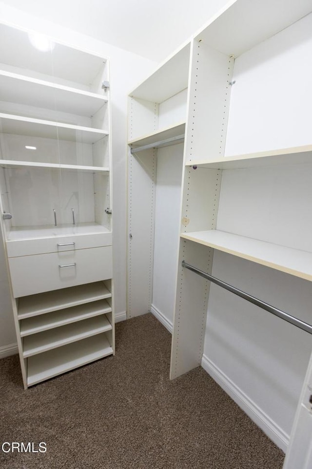 spacious closet with dark carpet