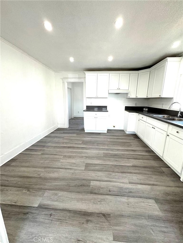 kitchen featuring dark wood-style flooring, dark countertops, a sink, and white cabinetry