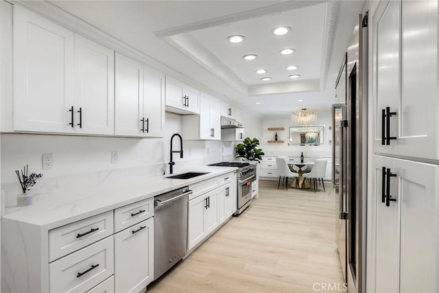 kitchen with white cabinetry, sink, appliances with stainless steel finishes, and a tray ceiling