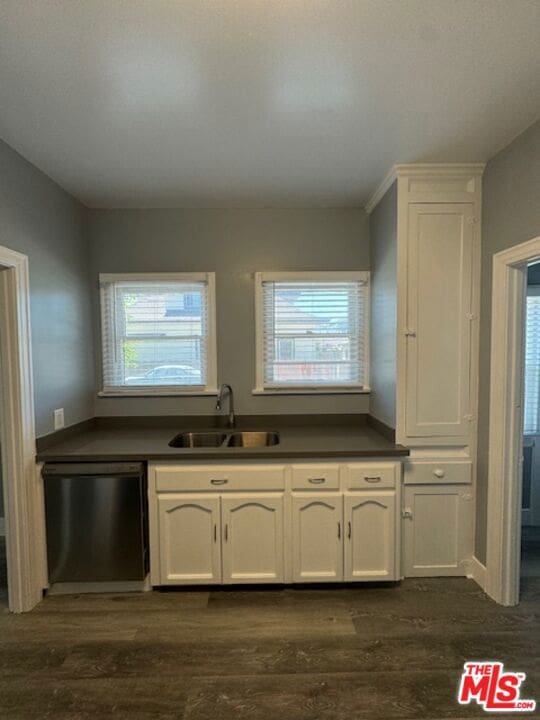 kitchen with white cabinetry, a wealth of natural light, dark wood-type flooring, and stainless steel dishwasher